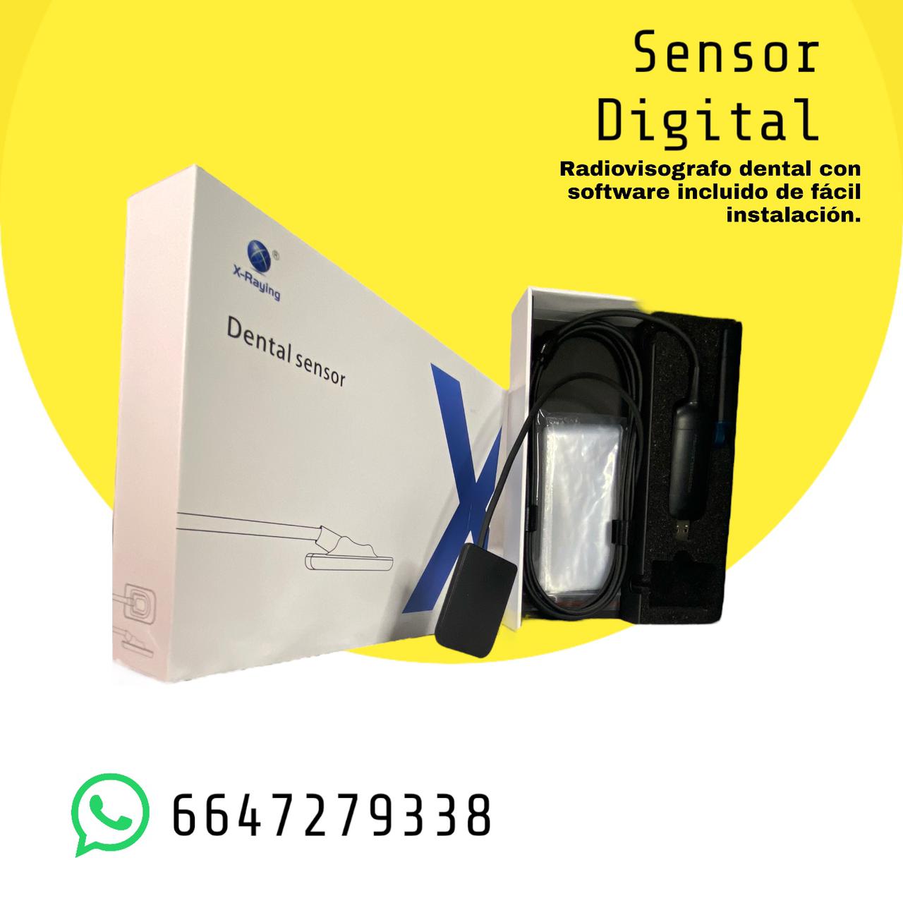 Set de Radiografía Digital Sensor Radiográfico Digital y Rayo Radiográfico Portátil